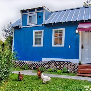 Tiny House W/ Backyard Chickens & Tesla For Rent* Apartment Houston Exterior photo