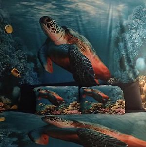 Reef Dreamer Artist'S Retreat Apartment Gulf Breeze Exterior photo