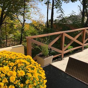 Όμορφος Χώρος Μέσα Στο Πράσινο Με Θέα Στο Αιγαίο Villa Tsagarada Exterior photo