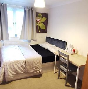 Lovely Spacious Big Room With Private Bathroom Watford  Exterior photo