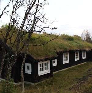 Gala Fjellhytte - Cabin With Sauna And Whirlpool Tub Villa Sor-Fron Exterior photo