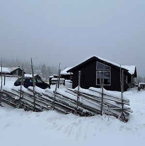 Havi Solsiden Trysil En Koselig Hytte - Ski In Og Ski Out Villa Exterior photo