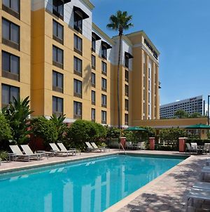 Springhill Suites By Marriott Tampa Westshore Exterior photo