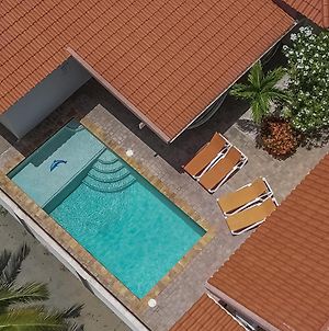 Villa Swiss Paradise With Private Pool Palm Beach Exterior photo
