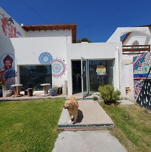 Roots Backpackers Hostel Rada Tilly Exterior photo