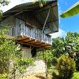 La Munequita Lodge 1 - Culture & Nature Experience Palmar Norte Exterior photo
