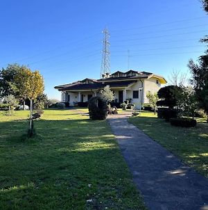 Chervo - Sirmione - La Villa Dei Giardini Pozzolengo Exterior photo