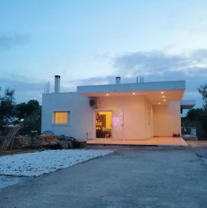 Costas' Farmhouse, Pallini, Near Athens Airport Apartment Exterior photo