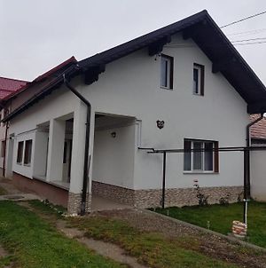 Casa Dana Rasnov Villa Exterior photo