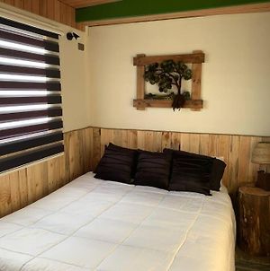 Cabana Sustentable Para Reponerse En Chiloe Apartment Ancud Exterior photo