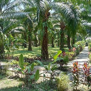 Khao Sok Palm Garden Resort Khao Sok National Park Exterior photo