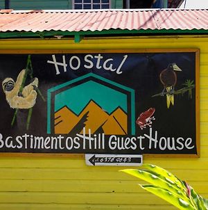 Bastimentos Hill Guest House Bocas del Toro Exterior photo