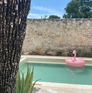 La Casa Rosal Pool,Hot Tub,Bikes Villa Campeche Exterior photo