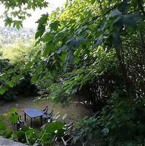 Spacieux Loft De 125 M2 Dans Son Ecrin De Verdure Le Puy-en-Velay Exterior photo