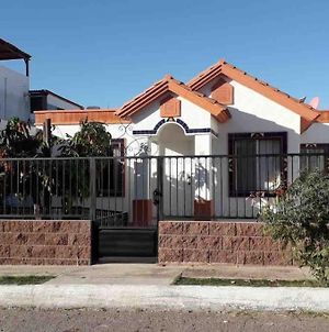 House With Enclosed Yard- 1Km To The Beach- Big Garden San Carlos Nuevo Guaymas Exterior photo