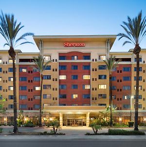 Sheraton Garden Grove-Anaheim South Hotel Exterior photo