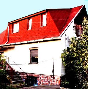 A Festo Vendeghaza / The Painter'S Guest House Zanka Exterior photo