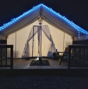 Cozy Glamp Tents At Wildland Gardens Joseph Exterior photo