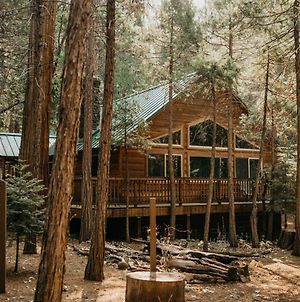 Peace Of Mine -Cabin Inside Yosemite -Pet Friendly Villa Wawona Exterior photo
