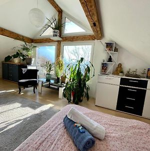 Old Farmhouse Loft Without Doors And Blinds Apartment Sevelen Exterior photo