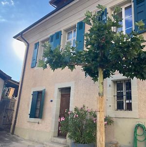 Charming Vinyard House - Lake Geneva Mont-sur-Rolle Exterior photo