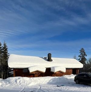 Trysil - Ski In/Out Villa Exterior photo