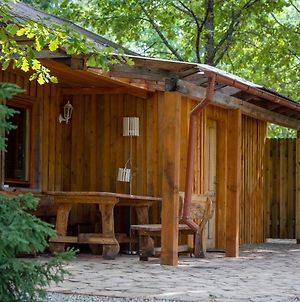 Holiday House With Sauna Villa Cesis Exterior photo