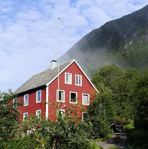 Sunnfjord Apartment In Jolster Ardal  Exterior photo