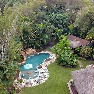 Casa Tropical 4 Bed 2.5 W/Heated Pool Miami & Bbq Villa Biscayne Park Exterior photo