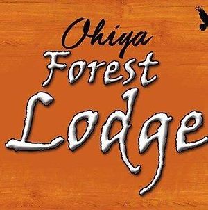 Ohiya Forest Lodge Exterior photo