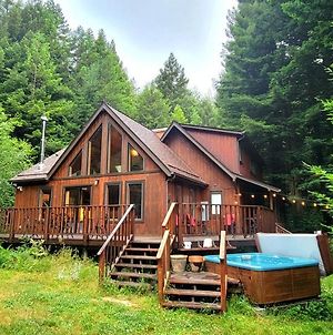Cozy Cabin Nestled On Acres Of Pristine Redwood Forest Hot Tub Fire Pit Minutes From Everything Villa Eureka Exterior photo