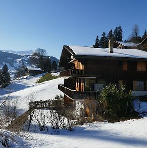 Apartment Chalet Grindelwaldgletscher Exterior photo