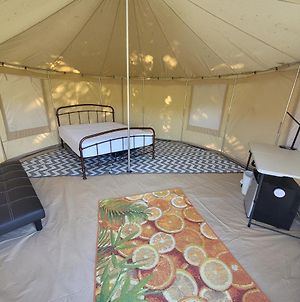 Rent A Yurt Tent With Log Burner, Double Bed, Sofa Bed And Cooking Facilities On Small Campsite Just Bring Bedding Hassle Free Camping Hotel Narberth Exterior photo