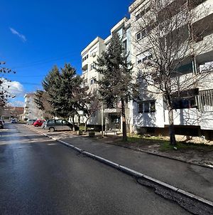 Viktor Apartment Kumanovo Exterior photo