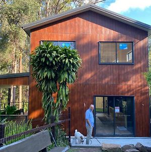 Sunshine Coast- Banksia House Luxury In The Forest Villa Kiels Mountain Exterior photo