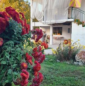 Sonja'S House Of Sun, Bislim Gorge, Riverview & Yard Kumanovo Exterior photo