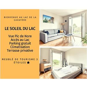 Le Soleil Du Lac/Terrasse/Parking/Clim Apartment Carcassonne Exterior photo