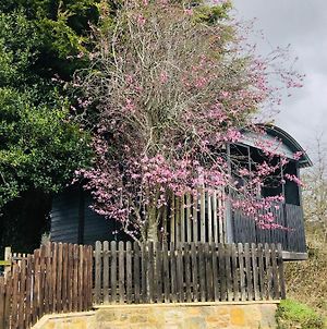 The Cherry Tree Gypsy Wagon Villa Banbury Exterior photo