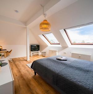 Style-Apartment Klimaanlage I Wlan I Kuche I Smart-Tv I Netflix Magdeburg Exterior photo