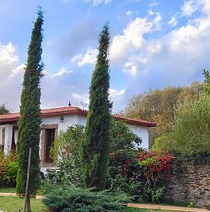 Villa A Porta Exclusividad En La Ribeira Sacra Monforte De Lemos Exterior photo