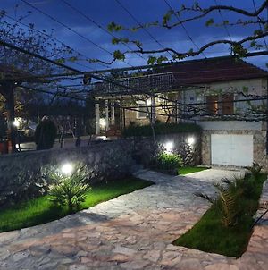 Green House Pejovic Villa Podgorica Exterior photo