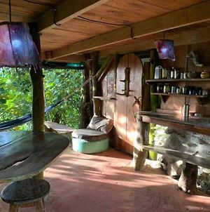 Ocean View Rustic Cabin In The Jungle By The Surf Apartment Pavones  Exterior photo