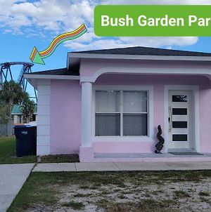 Friendly House_2 Blocks From Bush Garden Villa Tampa Exterior photo