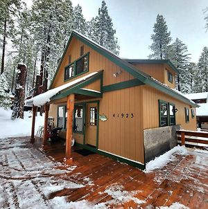 Toste Cabin- Spacious 3Br Cabin In East Village! Shaver Lake Exterior photo