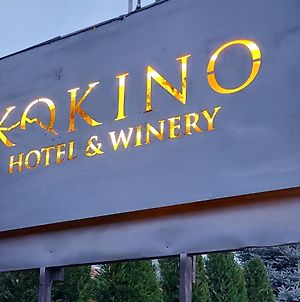 Kokino Winery & Hotel Kumanovo Exterior photo