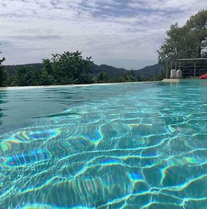 Villa Jean-Pierre. Infinity Pool And View In Tourrettes-Sur-Loup Exterior photo