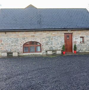 The Artist'S Barn Villa Limerick Junction Exterior photo