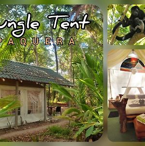 Fully Furnished Family Jungle Tent, Latino Glamping Paquera Exterior photo