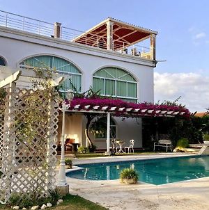 Amazing Beachfront Villa - Palm House Punta Chame Exterior photo