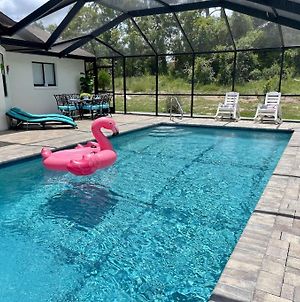 Beautiful Spring Hill Retreat With Large Pool And Large Yard! Villa Exterior photo